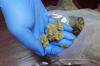 19-latek z Rypina zatrzymany podczas spacerów. Miał sporo narkotyków