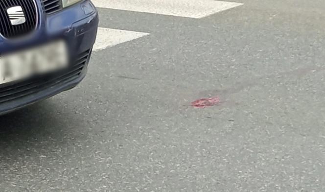Warszawa. Seat huknął w rowerzystkę na Białołęce. Kobieta trafiła do szpitala!