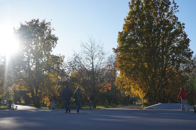 Park Ludowy w listopadowej odsłonie!