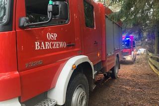 Martwy mężczyzna wisiał na drzewie! Koszmar pod Olsztynem