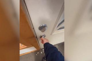 Zima na całego w Kalifornii! W ciągu doby spadło 90 cm śniegu [ZDJĘCIA]