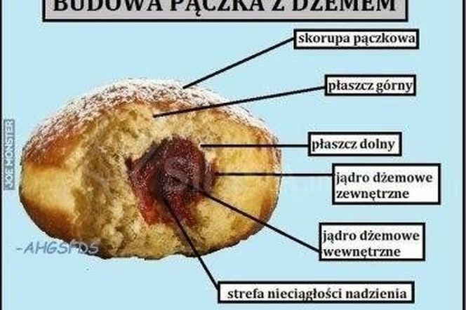 Najlepsze MEMY na Tłusty Czwartek! 