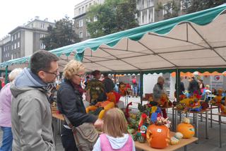 Żółte, pomarańczowe i zielone - za nami V festiwal Zaklęte w dyni.