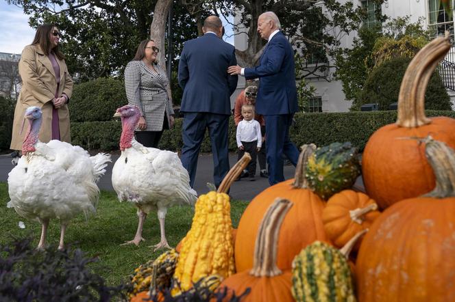 Indory u prezydenta USA! Joe Biden ułaskawił ptactwo