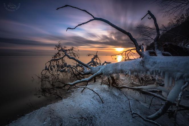 Piękna zima w Redłowie