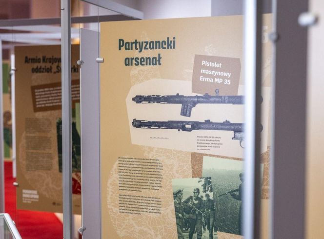 To, co archeolodzy odkryli w lesie, trafi na sejmowe korytarze. Jest wystawa pamiątek z obozowiska partyzantów AK w Borach Tucholskich