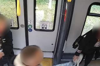 Brutalny napad na konduktorę Kolei Dolnośląskich. Kopał w brzuch  i twarz. Jest nagranie 
