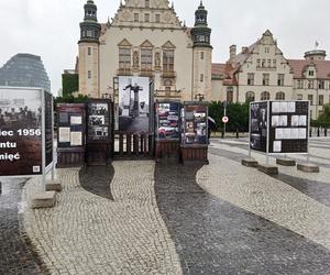 31. Rocznica przyjazdu Roberta de Niro do Poznania na obchody