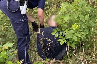 Policyjny pościg ulicami Łodzi