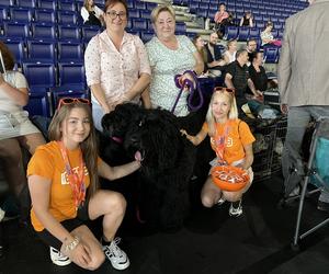 ​XXVII Międzynarodowa Wystawa Psów Rasowych - POMERANIA SHOW