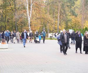 Tłumy na cmentarzu na Miłostowie