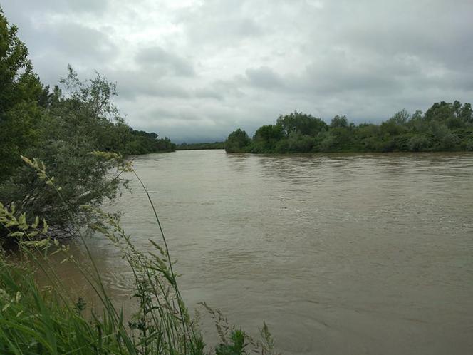 Wysoki Dunajec pod Tarnowem! Biała przy Azotach też przybiera