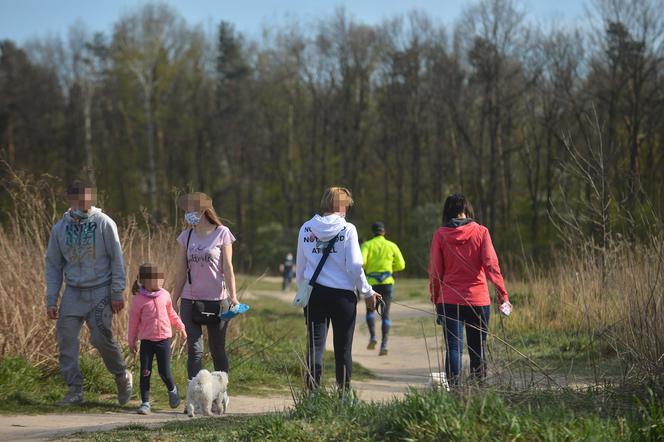 Majówka 2020 w czasach koronawirusa. Sposoby na spędzenie wolnego czasu.  Co i gdzie można robić? Co można, czego nie wolno?