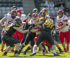 Lowlanders Białystok miażdżą rywali. Kolejne wysokie zwycięstwo