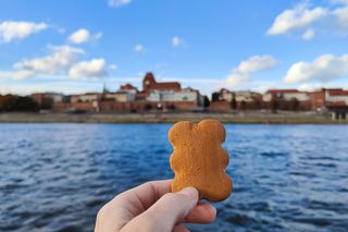 Pierniki na liście UNESCO. Duma w Toruniu