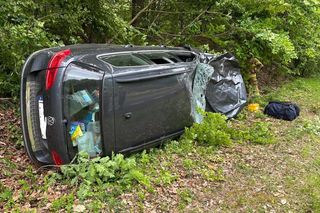 Auto zderzyło się z żubrem. Volkswagenem podróżowały dwie osoby