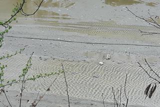 4 Nad tunelem dworca Łódź Fabryczna zbiera się woda