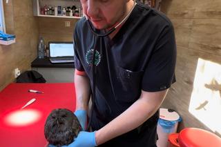 Puszczyk wpadł do komina [GALERIA]