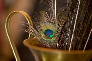 Te 5 rzeczy przynoszą ci pecha! Lepiej wyrzuć je z domu! 