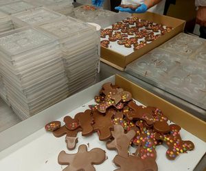 Cukiernia Sowa, linia produkcyjna