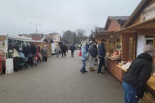 Ceny karpia w Olsztynie. Karp towarem luksusowym w Olsztynie? W wielu sklepach tej ryby nie dostaniesz