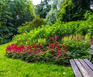 7 najładniejszych ogrodów botanicznych w Polsce. Kiedy je odwiedzić i gdzie są?