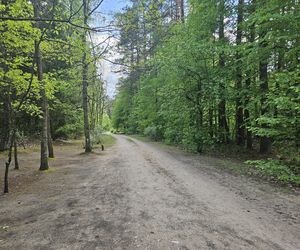 Kopna Góra