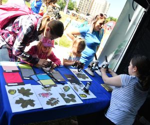Witaj Lato na Bielanach! Wielkie gwiazdy wystąpią na dzielnicowym pikniku