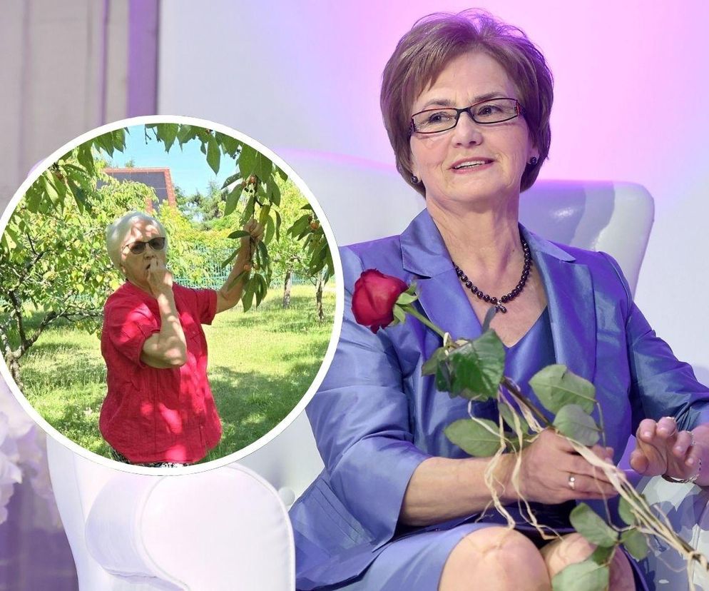 Ekspert od mody zachwycony domową stylizacją Danuty Wałęsy! Docenił luz [ZDJĘCIA]