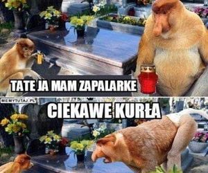 Memy na Wszystkich Świętych