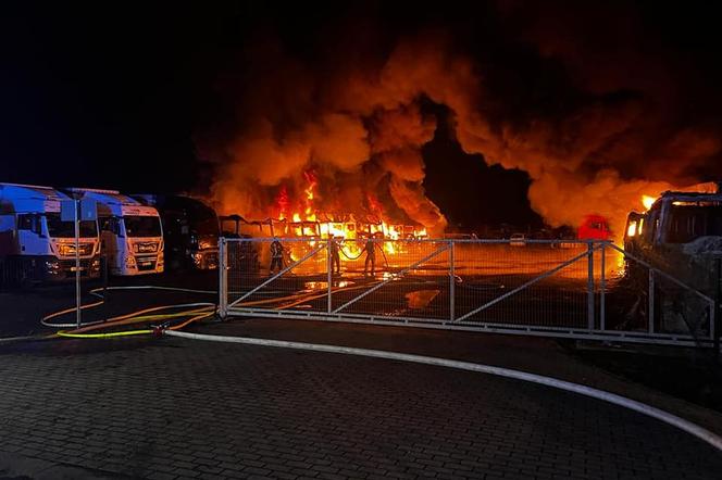 Wielki pożar w Osiecznicy na Dolnym Śląsku. Spłonęło 16 ciężarówek