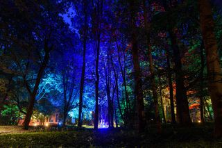 Kortowo rozświetli się tysiącem barw. Park Świateł zamieni miasteczko studenckie w bajeczną krainę
