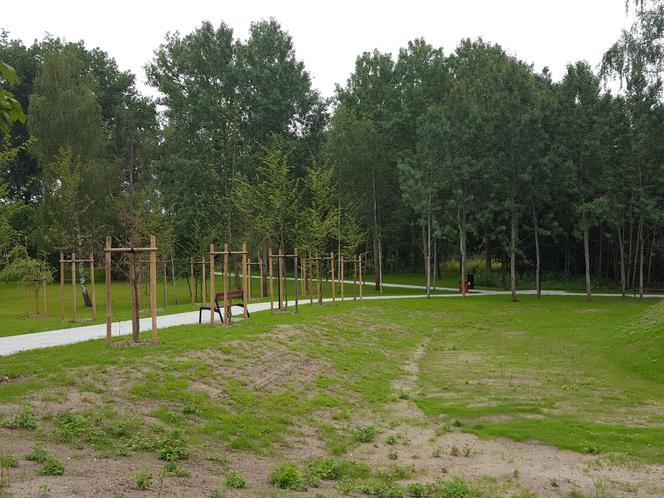 Nowy park w Lesznie gotowy, niedługo będzie otwarty