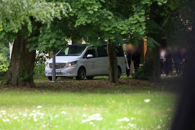 Rodzinny horror w dawnym tartaku