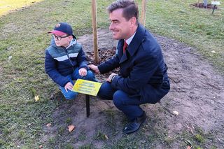 Danusia, Halinka, Linkus, Seniorita i Stasiu zapuszczają korzenie. Nowe nasadzenia w Lesznie