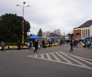 Ceny zniczy i kwiatów pod Cmentarzem Centralnym w Szczecinie