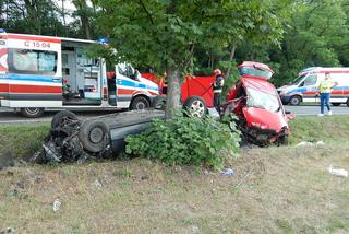 Borucinek w gminie Osięciny niedaleko Radziejowa to wieś jakich tysiące w Polsce. Przez nią przebiega droga  krajowa numer 62