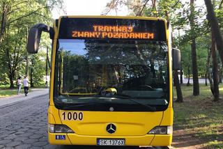 Ulicami Katowic jeździ Tramwaj Zwany Pożądaniem, który jest... autobusem