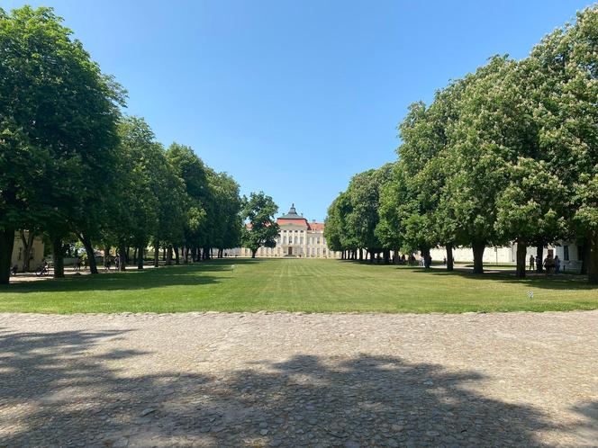 Pałac w Rogalinie zachwyca turystów. Znajduje się 20 kilometrów od Poznania 