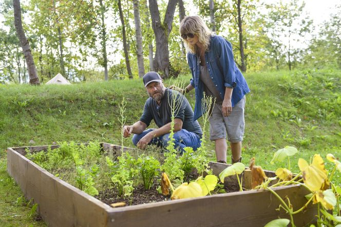 Glamping Lichoty i Wrońskiej