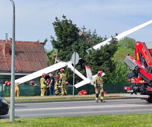 Szybowiec runął na ogródki działkowe! Służby na miejscu