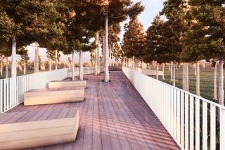 Ścieżka w koronach drzew w Zwierzyńcu według Autograf Studio