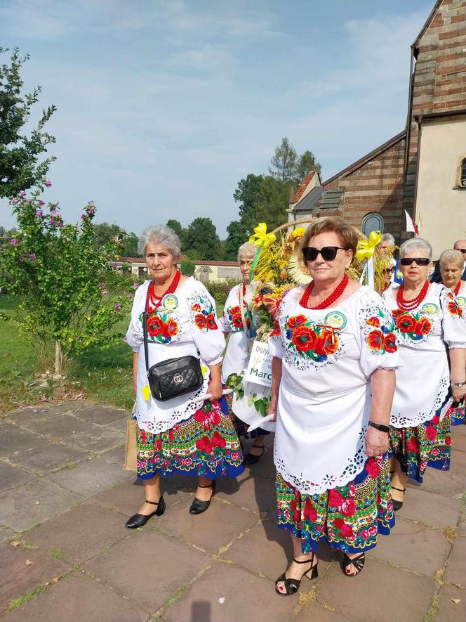 Dożynki 2024 w powiecie starachowickim. W Wąchocku dożynkowe wieńce, korowód i przysmaki