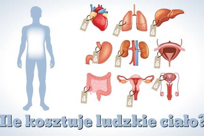 Ile kosztuje ludzkie ciało?