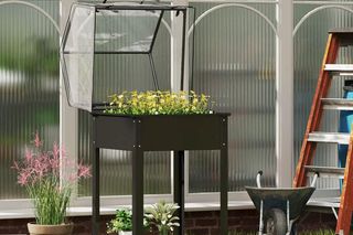 Miniszklarnia na balkon - Castorama