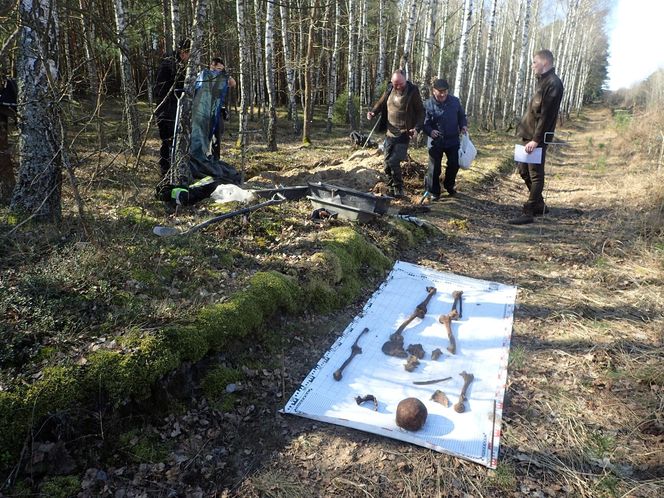 Ludzkie szczątki przy torach pod Świeciem! Tajemnica grobu w końcu wyszła na jaw