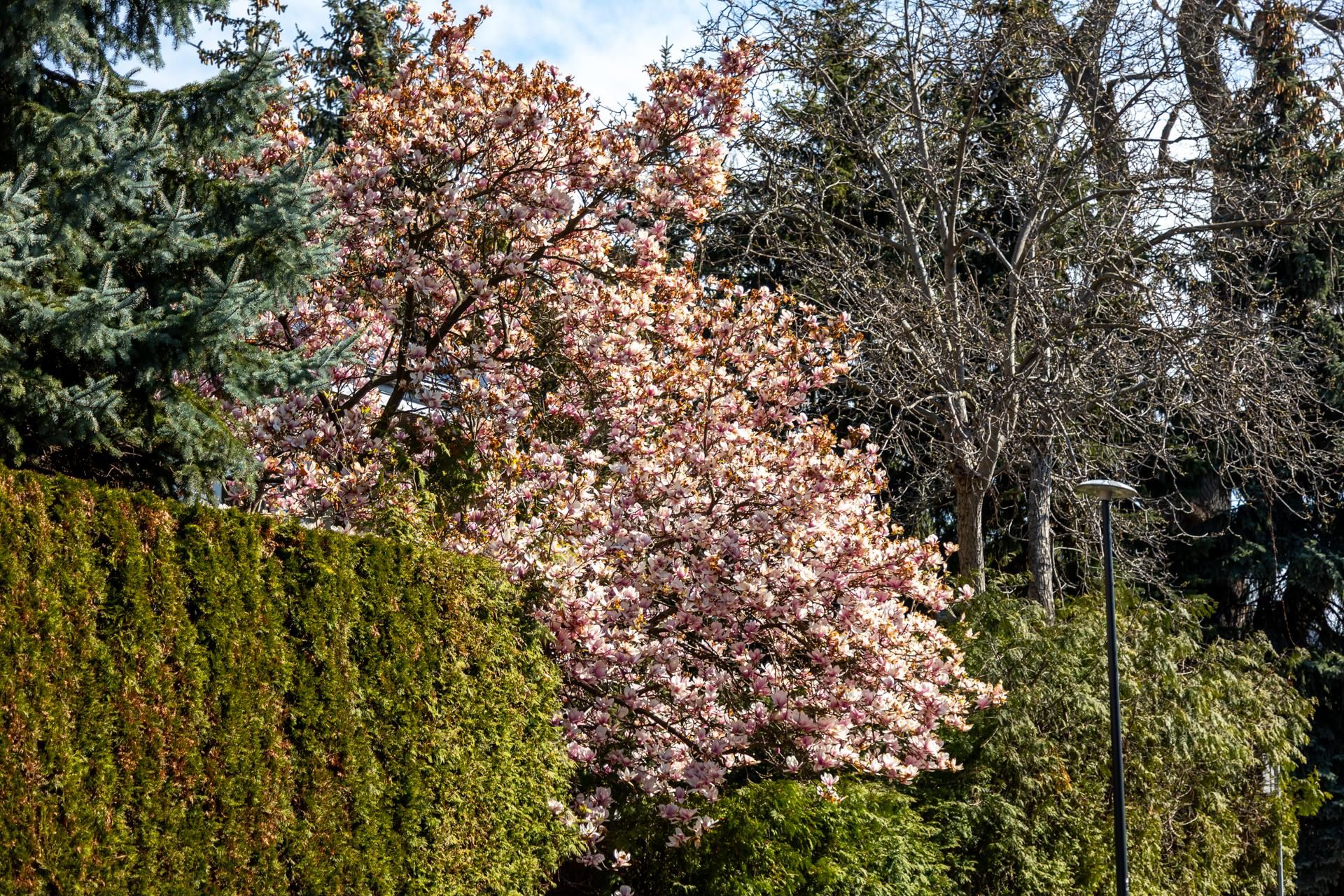 Osiedle Ateńska II w Warszawie