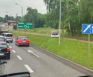 Mistrzowie jazdy na skróty w Katowicach. Co wyprawiają ci kierowcy?! WIDEO