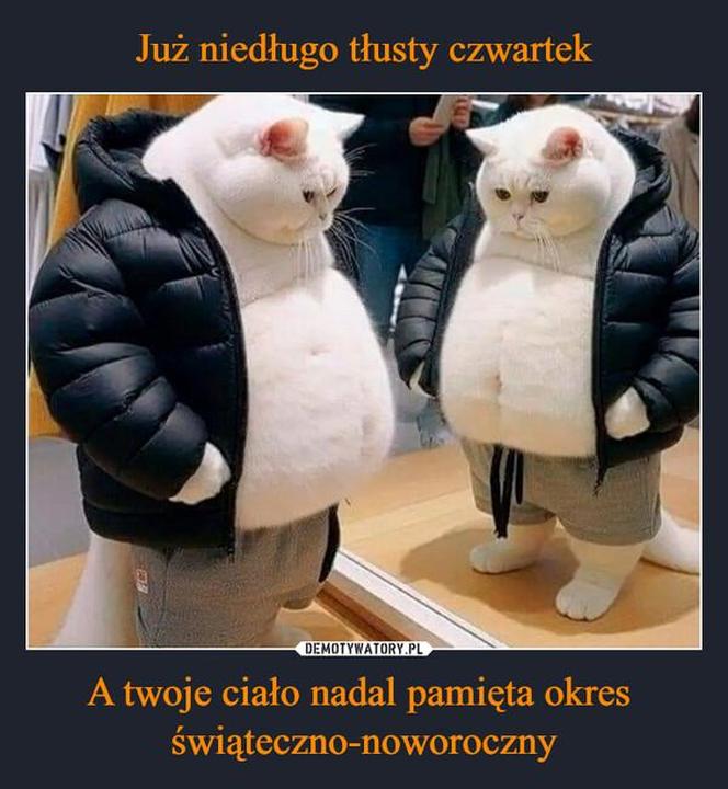 Memy z Tłustym Czwartkiem w roli głównej. Rozbawią cię do łez