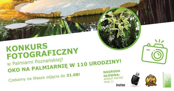 Oko na Palmiarnię! Weź udział w konkursie fotograficznym!